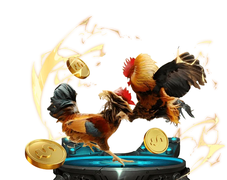 Ưu điểm vượt trội go8 pro